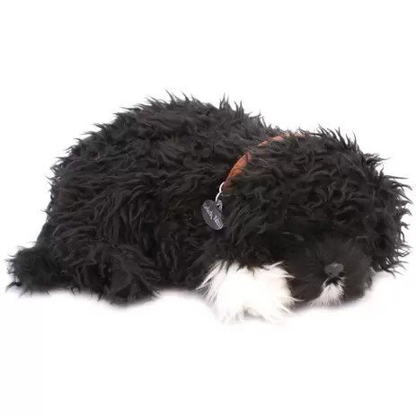 PERFECT PETZZZ FILHOTE CACHORRO CAO DAGUA PP9129B - IMEX