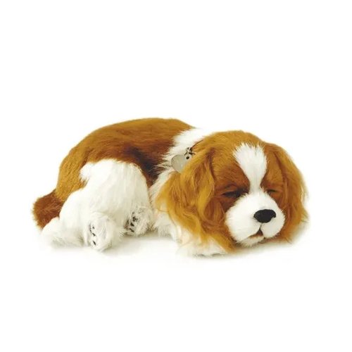 PERFECT PETZZZ FILHOTE CACHORRO CAVALIER KING CHARLES PP9120B - IMEX