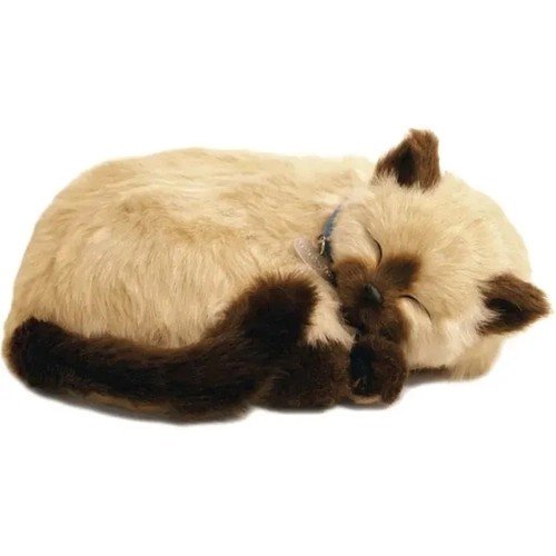PERFECT PETZZZ FILHOTE GATO SIAMES CARAMELO IMEX