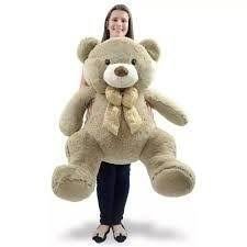 URSO GUTO GG R.317