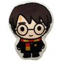 ALMOFADA HARRY POTTER 10064282