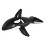 BOIA BALEIA ORCA R.1816 MOR