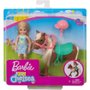 BONECA BARBIE FAMILY CHELSEA E PONEI GHV78 - MATTEL