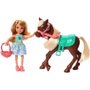 BONECA BARBIE FAMILY CHELSEA E PONEI GHV78 - MATTEL
