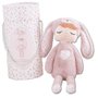 BONECA DE PANO METOO ANGELA ANA COELHA ROSA PLUSH 33CM R.3617 BUP BABY