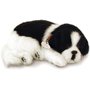 PERFECT PETZZZ FILHOTE CACHORRO BORDER COLLIE PP9101B IMEX