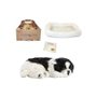 PERFECT PETZZZ FILHOTE CACHORRO BORDER COLLIE PP9101B IMEX