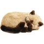 PERFECT PETZZZ FILHOTE GATO SIAMES CARAMELO IMEX