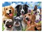 QUEBRA-CABECA 500PCS SELFIE PETS R.3742