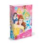 QUEBRA-CABECA PRINCESAS 100PCS R.3586 GROW